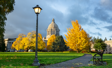 Capitol-Fall.png